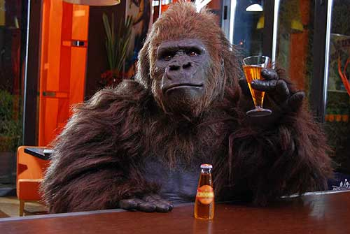 New Gorilla in Bar | Jokes of the day (7359)
