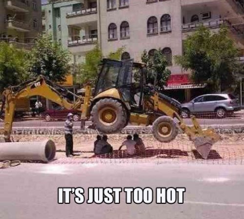 Funny Photo of the day for Friday, 20 July 2012 from site Jokes of The Day  - It is just too hot
