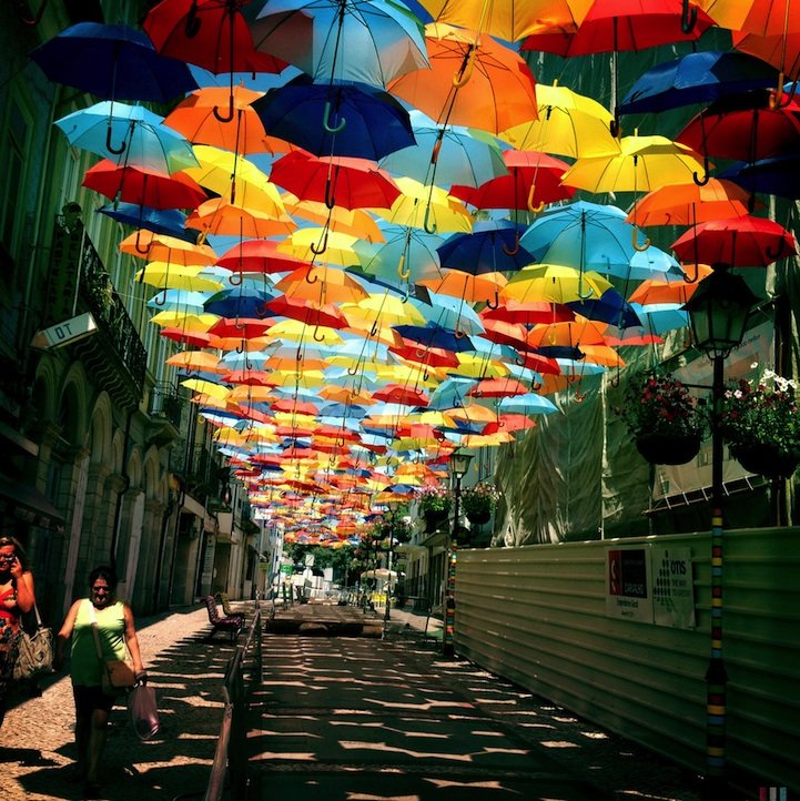 Funny Photo of the day for Wednesday, 10 July 2013 from site Jokes of The  Day - Umbrella street