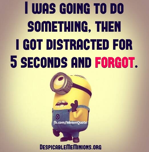 Jokes of the day (49347)