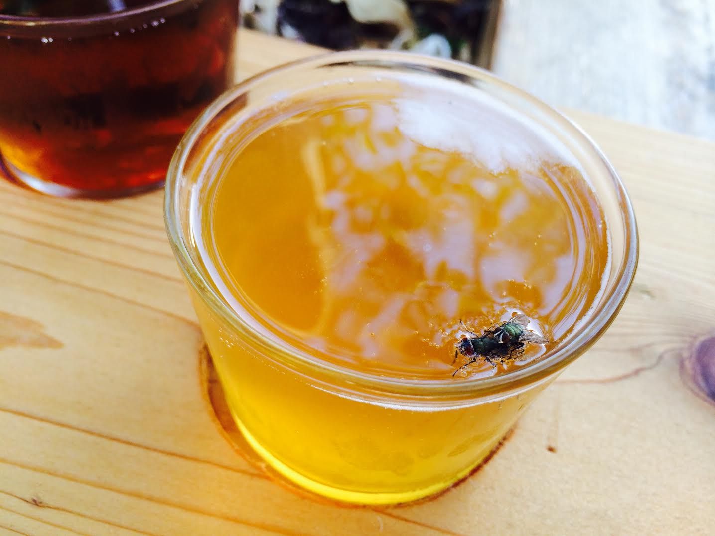 Flies In The Beer Jokes of the day (50933)