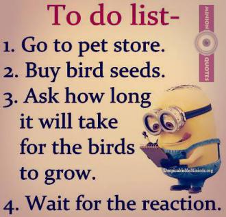 Joke for Tuesday, 01 December 2015 from site Minion Quotes - Funny to do  list