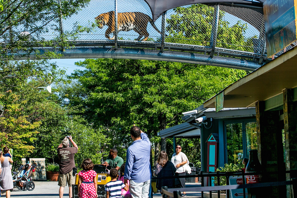 Joke for Friday, 16 December 2016 from site Jokes A job at the zoo